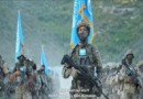 East Turkistan National Army